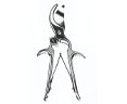 RIB SHEARS