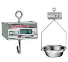 HSDC SERIES SCALE