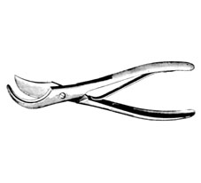 RIB SHEARS