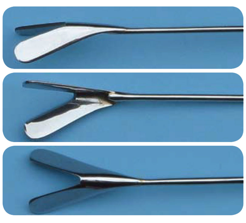 SPINAL CORD REMOVAL INSTRUMENT
