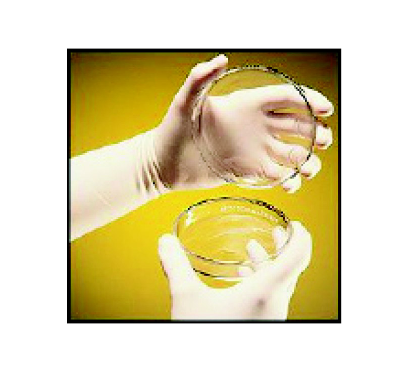Touch N Tuff® POWDERED DISPOSABLE GLOVES